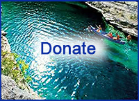 Donate-homepage-button