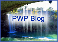 PWP-blog-homepage-button